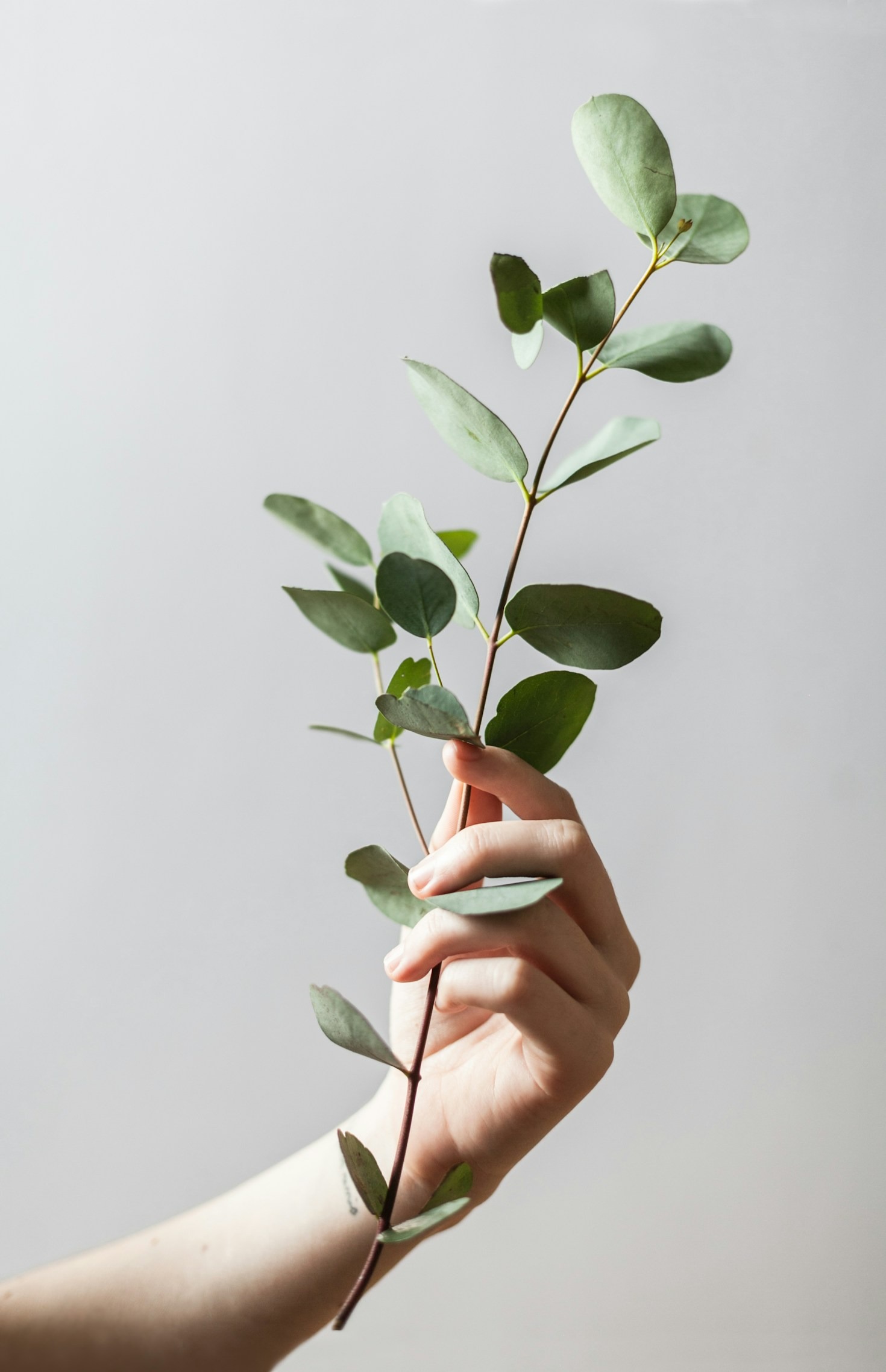 Understanding The Power Of Holistic Coaching